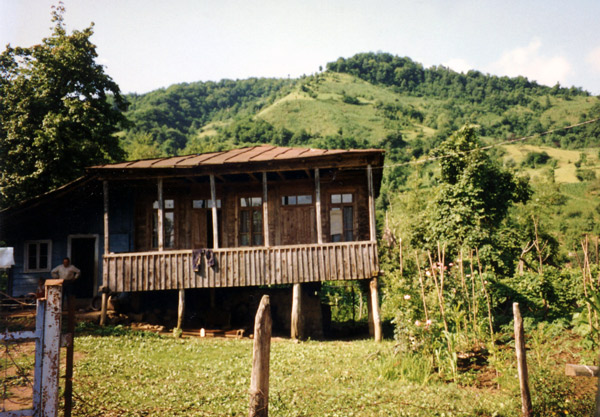 древесный дом