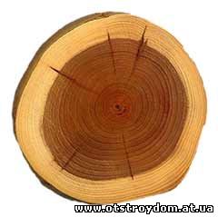 Методы защиты древесной породы от тления, воды, плесени, грибка и насекомых. Антисептики для древесной породы - пропитка древесной породы от тления
